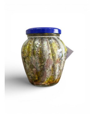 Alici Alla Mediterranea