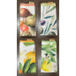 Strofinacci 100% Cotone - GoodItaFood